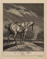 KG 01078
          <br/>
          Entwurf einiger Pferde. Sechster Theil. (18 bladen)
          <br/>
          <em>Ridinger, Johann Elias (1698-1767)</em>